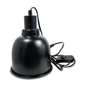 Deep_Dome_5.5_5