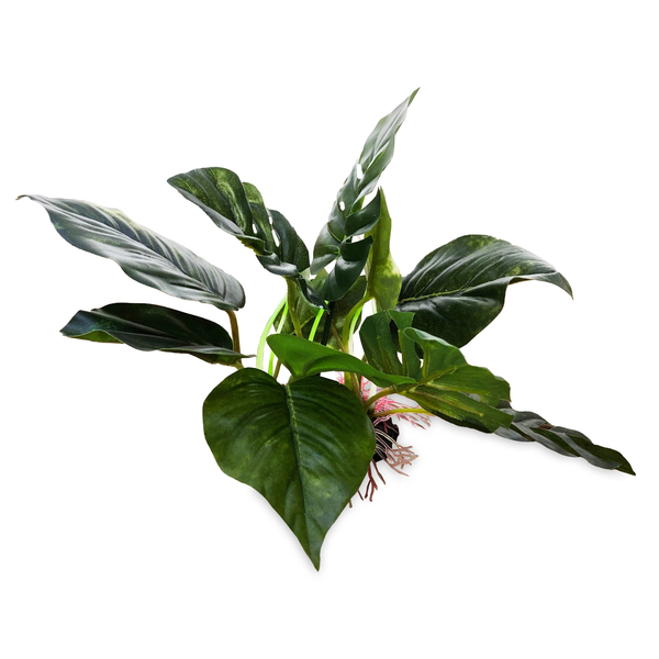 Anubius Silk Terrarium Plant