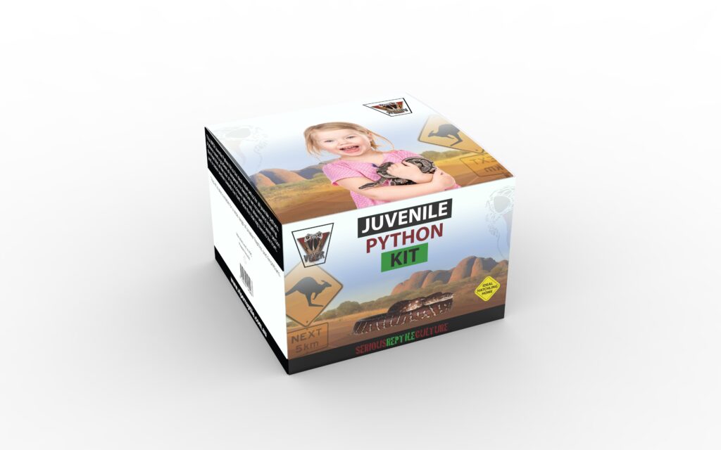Python For Girls Kit Juvenile Python Kit | Buy Online | Viper Reptile