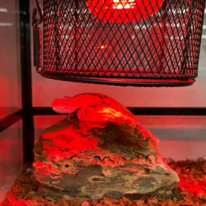 MESH LAMP COVER