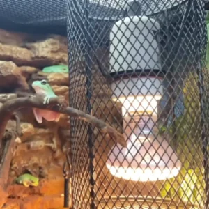 MESH LAMP COVER