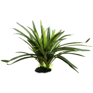 Spikey Bush Terrarium Plant 2