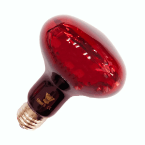 Infrared Reptile Heat Lamp 2