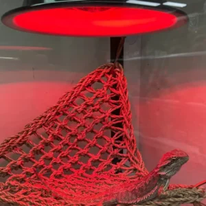 Infrared reptile heat globe