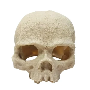 Skull Reptile Ornament