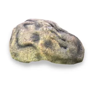 Rock Hide Cave Reptile Ornament