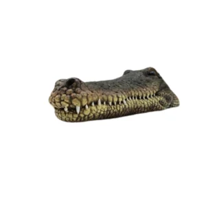 Crocodile Head Reptile Ornamen