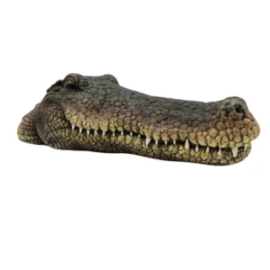 Crocodile Head Reptile Ornament