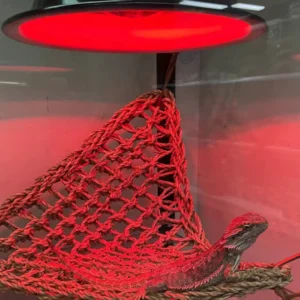 Deep dome reptile light fitting