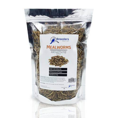 Mealworms Reptile food