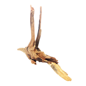 Mangrove Root Reptile Ornament