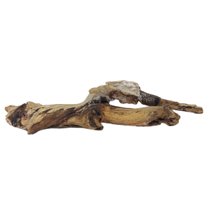 Mangrove Root Reptile Ornament