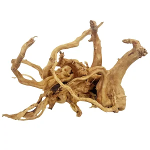 Spiderwood Reptile Ornament Medium