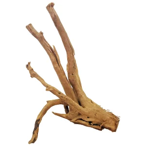 Spiderwood Reptile Ornament Small