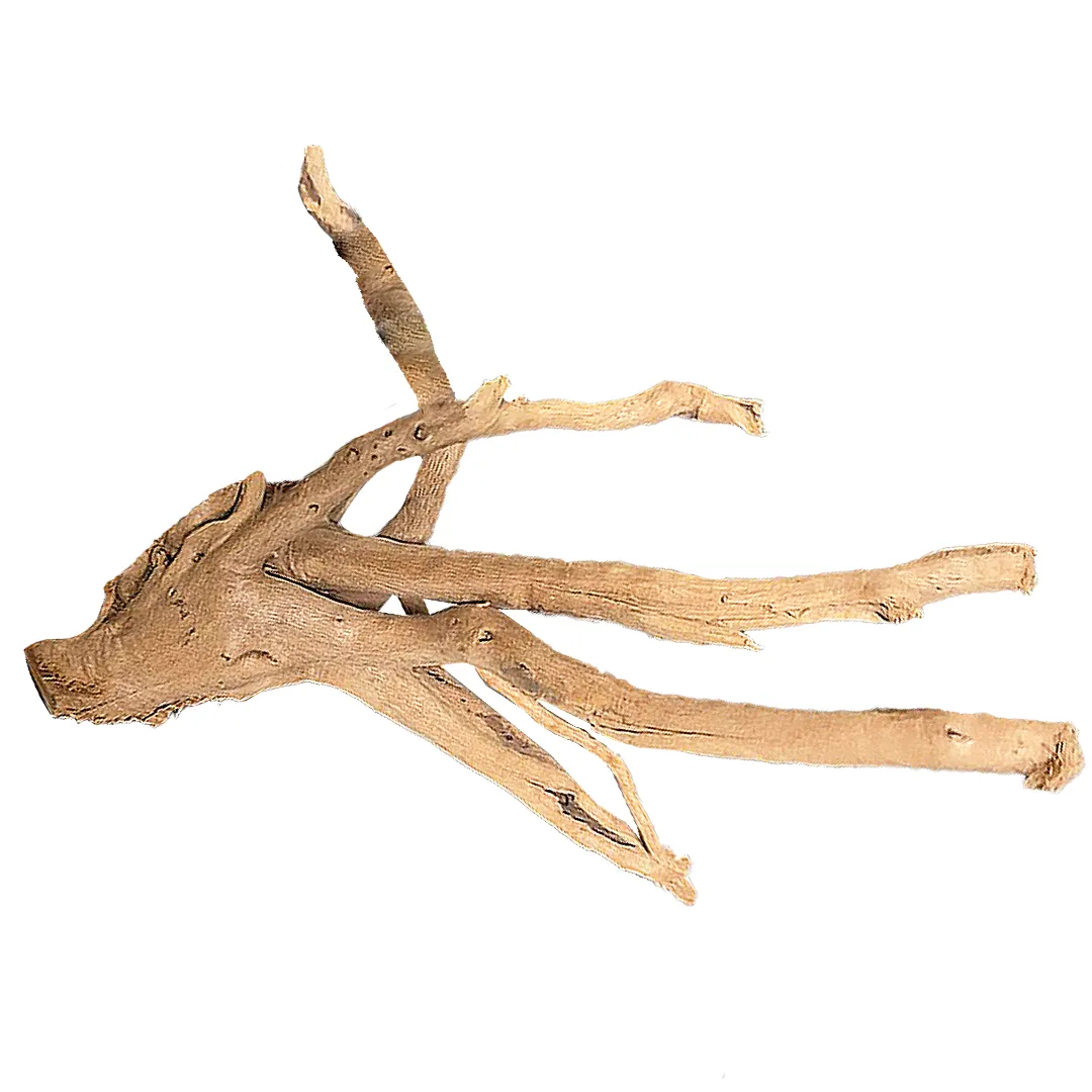 Spider Wood Natural