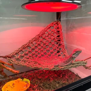 Reptile Crib Basking Hammock Corner_IMG