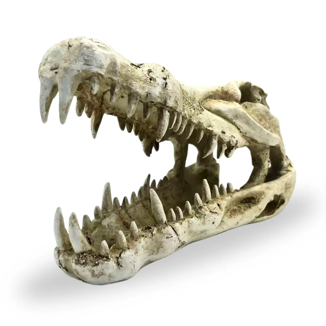 Croc Head Small