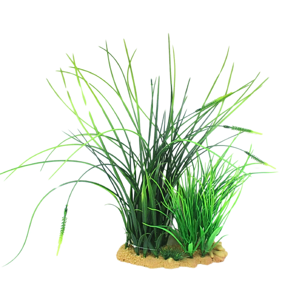 Vivarium Plant Seagrass in reptile terrarium background