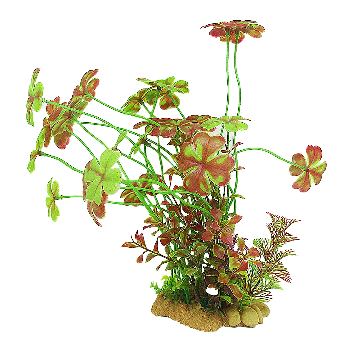 Vivarium Plant Clover
