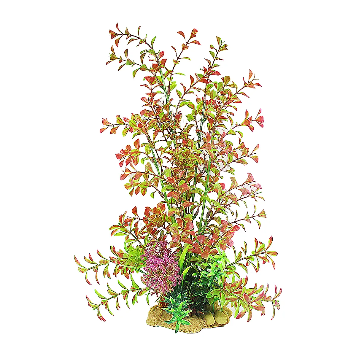 Vivarium Plant Red Tips