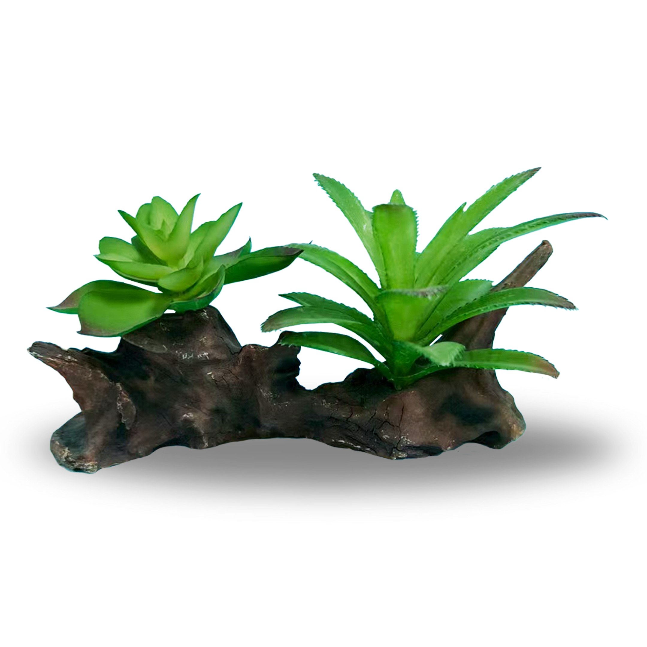 Planted Rock reptile ornament