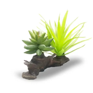 Succulent Planted Reptile Rock Medium