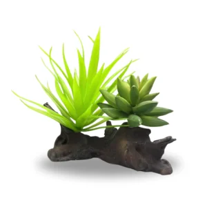 Succulent Planted Reptile Rock Medium