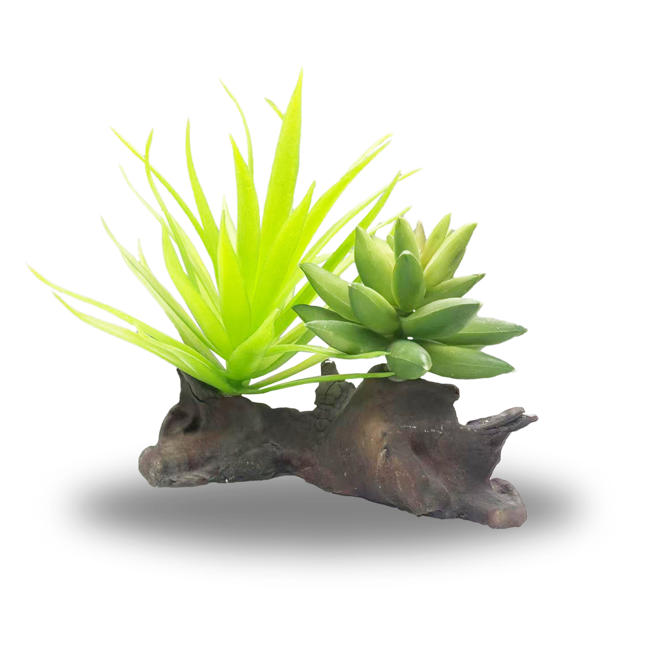 Succulent Planted Reptile Rock Medium