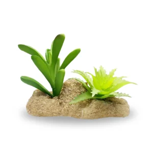 Succulent Planted Reptile Rock Small