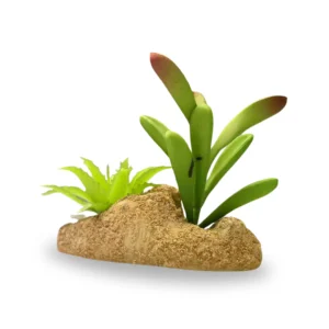 Succulent Planted Reptile Rock Small