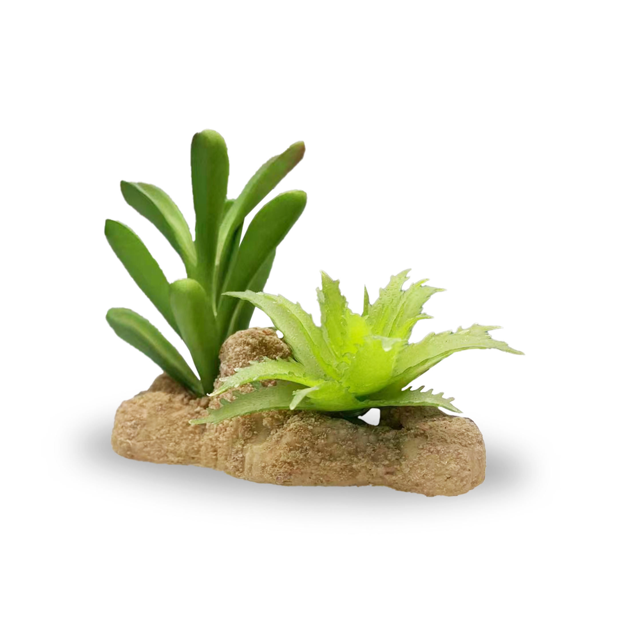 Succulent Planted Reptile Rock Small