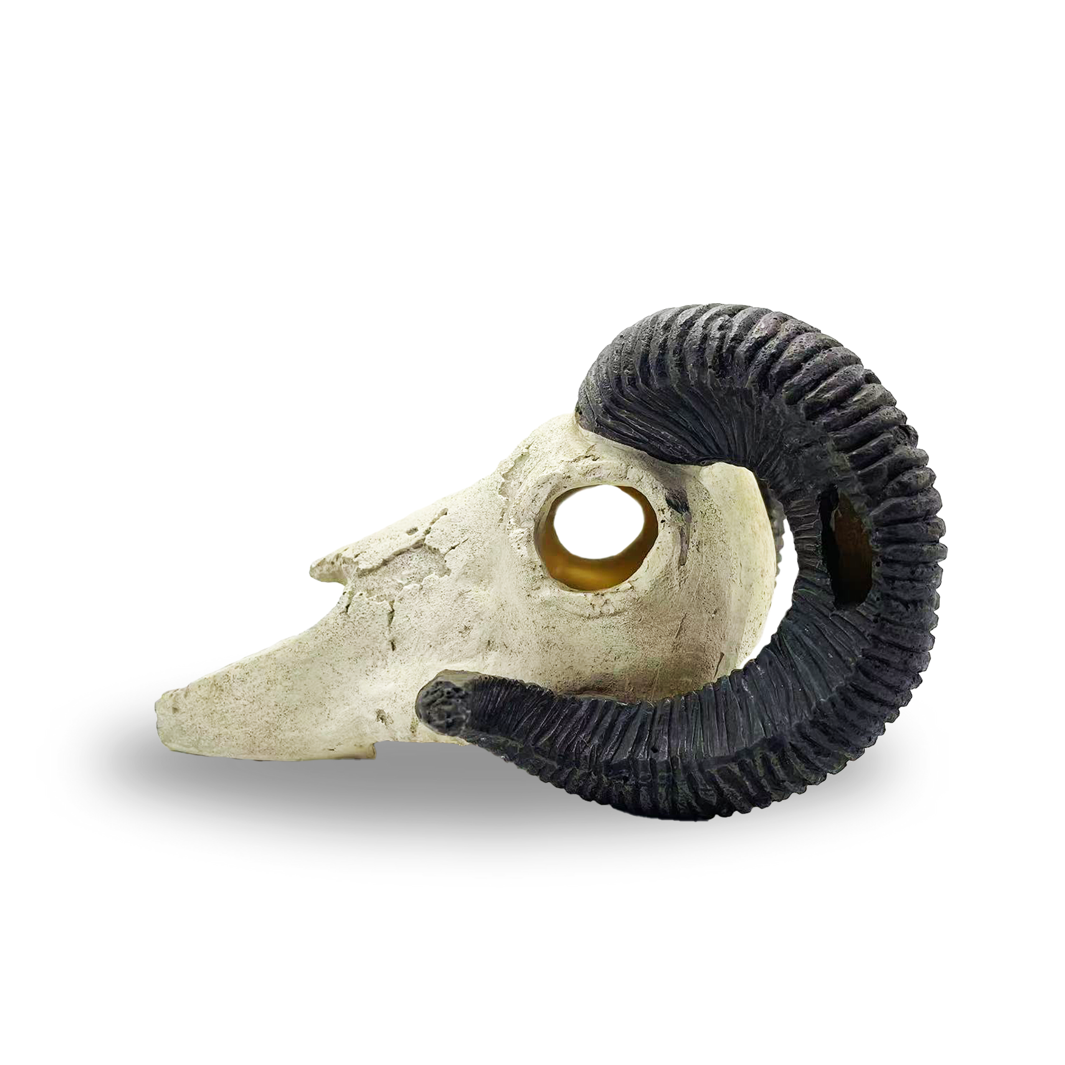 Ram Skull reptile ornament