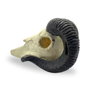 Ram Skull reptile ornament