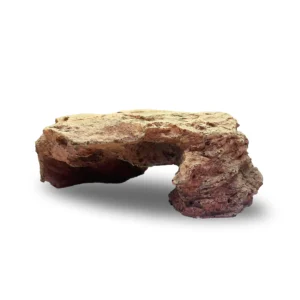 Square Rock Basking Tunnel