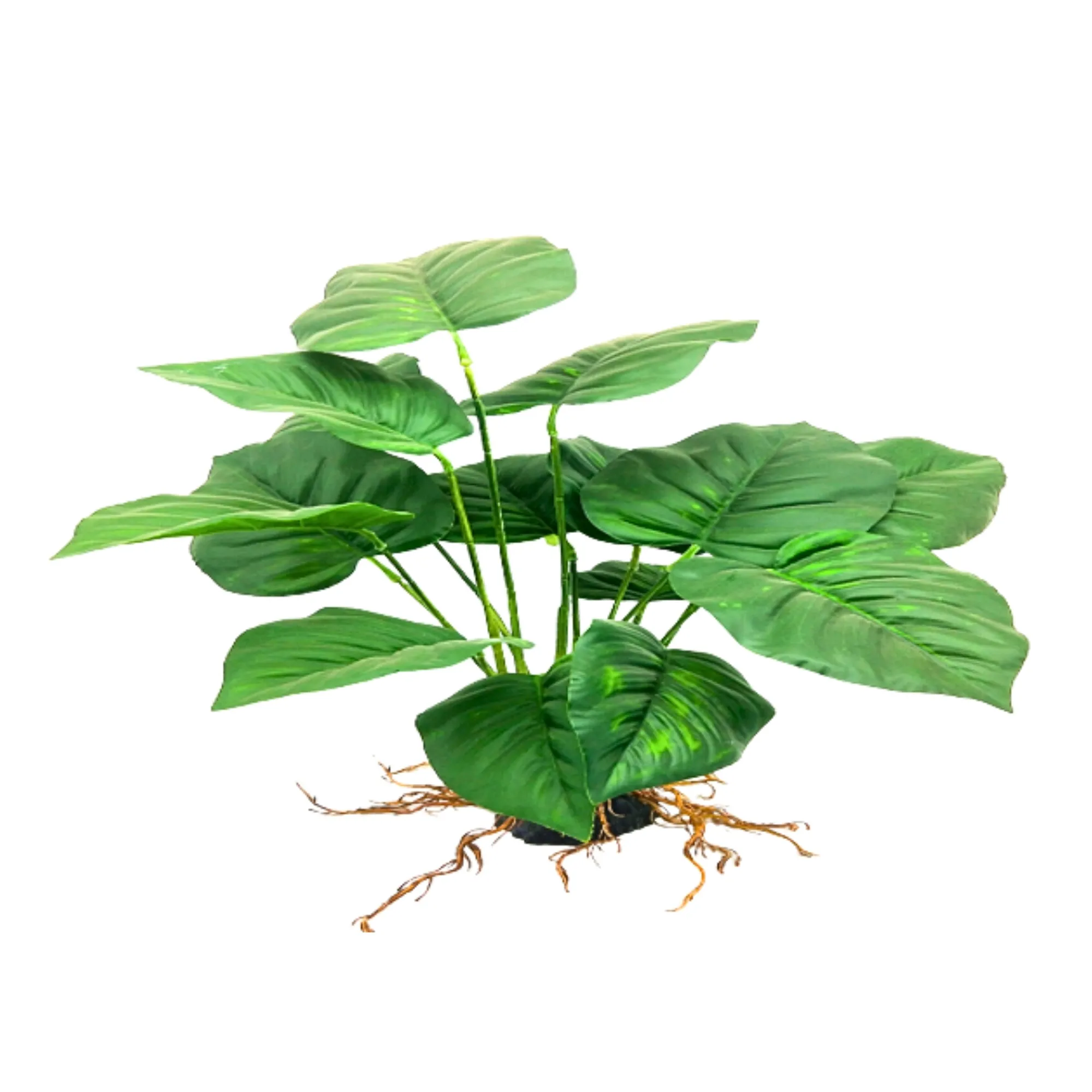 Anubius Plant X Large