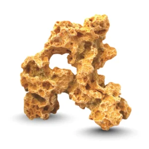 Burrow stone reptile hide rock