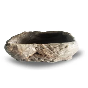 large reptile bowl