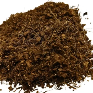 Reptile substrate bedding