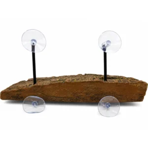 Floating turtle dock