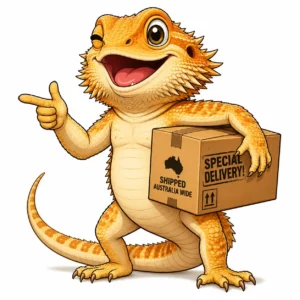 bearded dragon with delivery